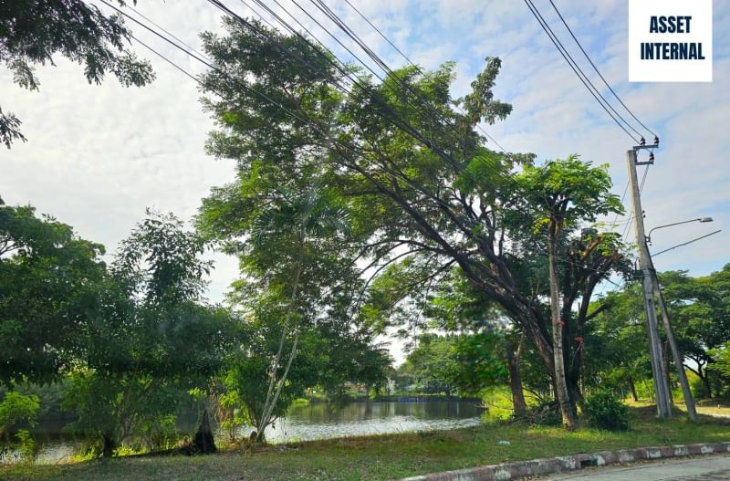 ขายที่ดินมีนบุรี-ร่มเกล้า : ขายที่ดิน 1 ไร่ 11.2 ตารางวา ในหมู่บ้าน Royal Park Vill (รอยัลปาร์ควิลล) ติดถนน สุวินทวงศ์ ช่วงซอย 44 แขวงลำผักชี เขตหนองจอก กรุงเทพมหานคร