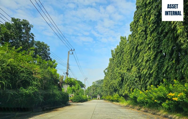 ขายที่ดินมีนบุรี-ร่มเกล้า : ขายที่ดิน 1 ไร่ 11.2 ตารางวา ในหมู่บ้าน Royal Park Vill (รอยัลปาร์ควิลล) ติดถนน สุวินทวงศ์ ช่วงซอย 44 แขวงลำผักชี เขตหนองจอก กรุงเทพมหานคร