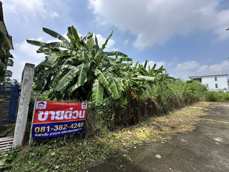 For SaleLandChaengwatana, Muangthong : Land for sale, 1 rai, Soi Chaeng Watthana-Pak Kret 23, opposite Central Chaeng Watthana.