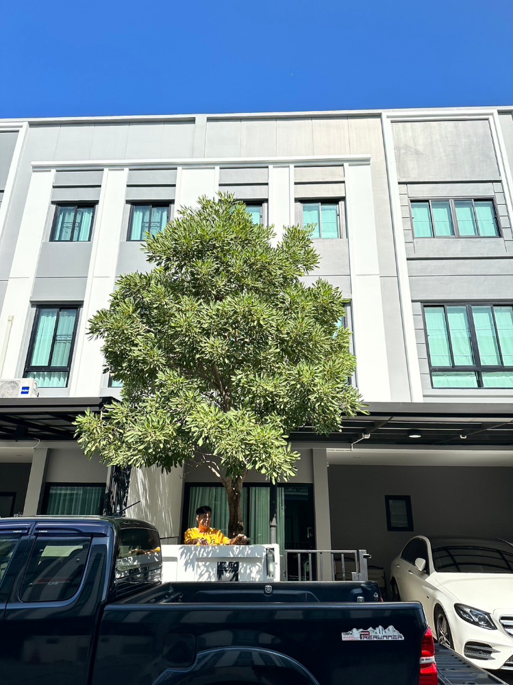 For SaleTownhomeBangna, Bearing, Lasalle : House for sale, Brighton Bangna project, Km.26, house size 20.70 sq.w., usable area 145 sq.m., three-storey house, price 4,500,000 baht.