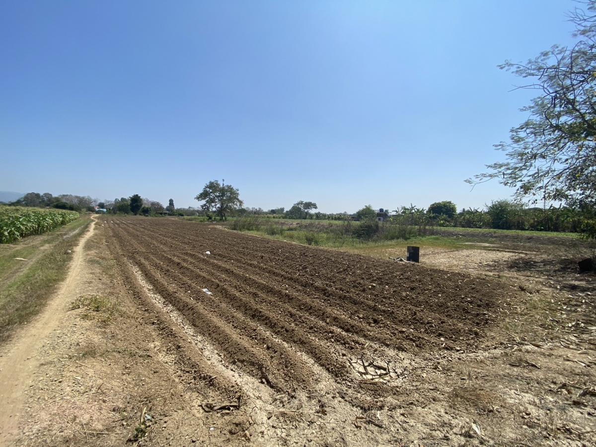 For SaleLandChiang Mai : Land for sale, Mae Rim, land for sale, starting at 9750,000