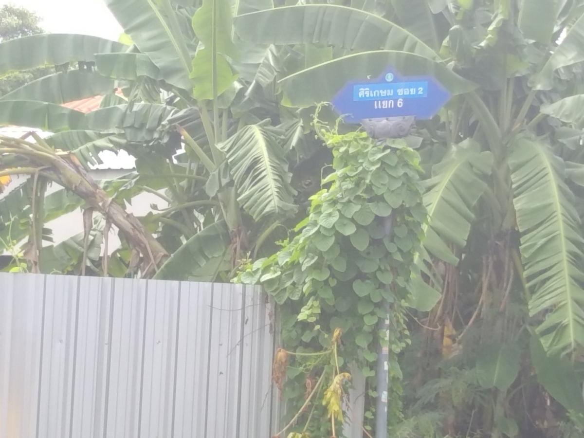 For SaleLandBang kae, Phetkasem : Land for sale (reclamated) 1 rai 1 ngan 47 square wah, Soi Kasem Kasem 2 Yaek 6 Bang Waek Bang Phai