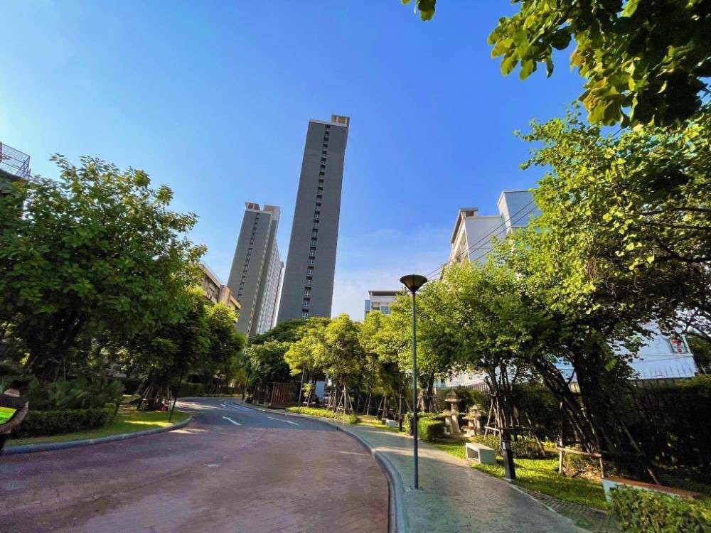 For SaleCondoChaengwatana, Muangthong : S-APNW107 Condo for sale, Aspire Ngamwongwan, Lak Si, 3rd floor, Building N, city view, 29 sq m, 1 bedroom, 1 bathroom, 1.89 million, 064-959-8900