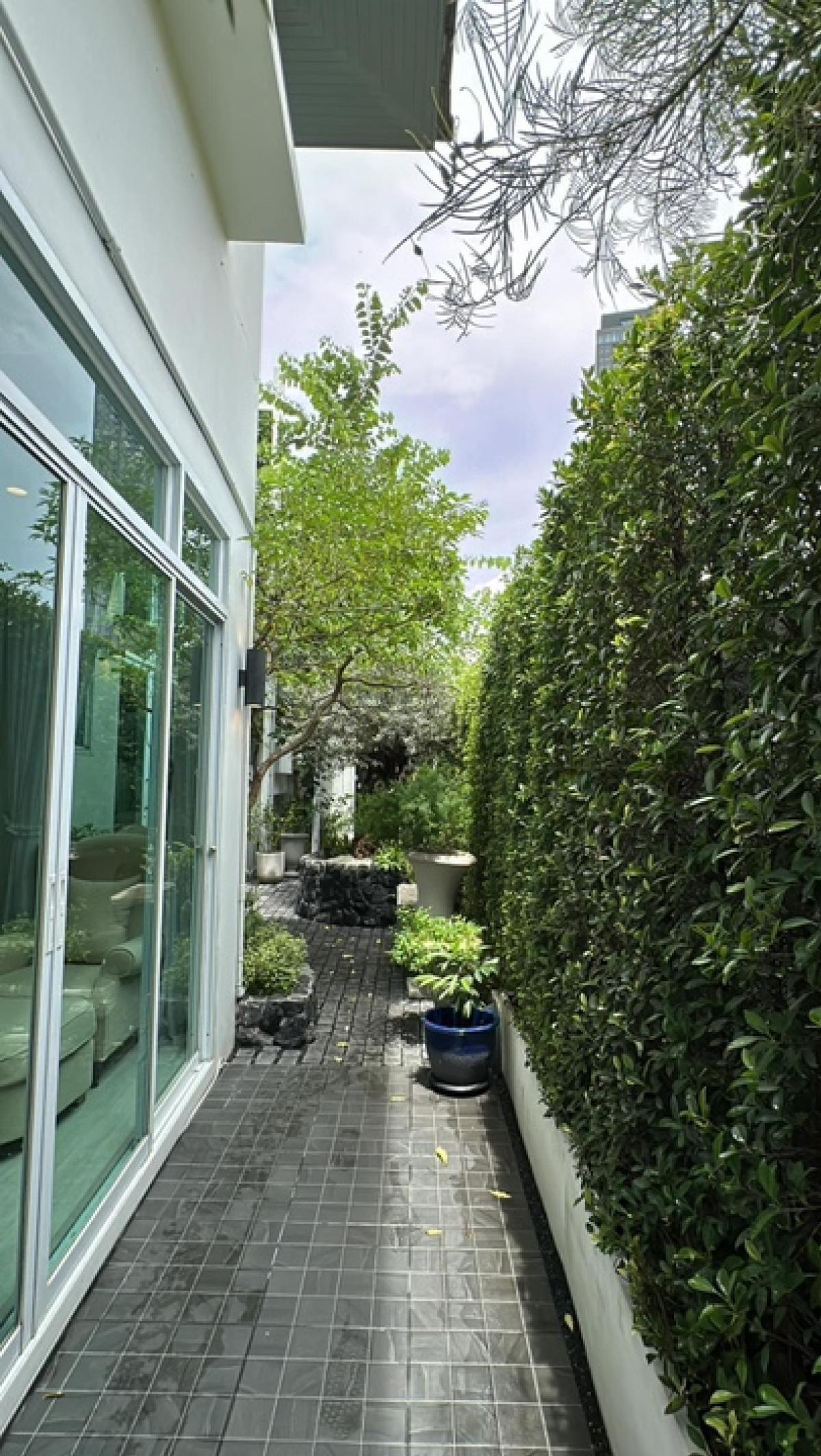 ขายบ้านสุขุมวิท อโศก ทองหล่อ : บ้านเดี่ยว เพิ่งรีโนเวท เดินทางสะดวกหลายเส้นทาง อยู่ในพื้นที่ Em District มีแปลนให้ทำสระว่ายน้ำได้