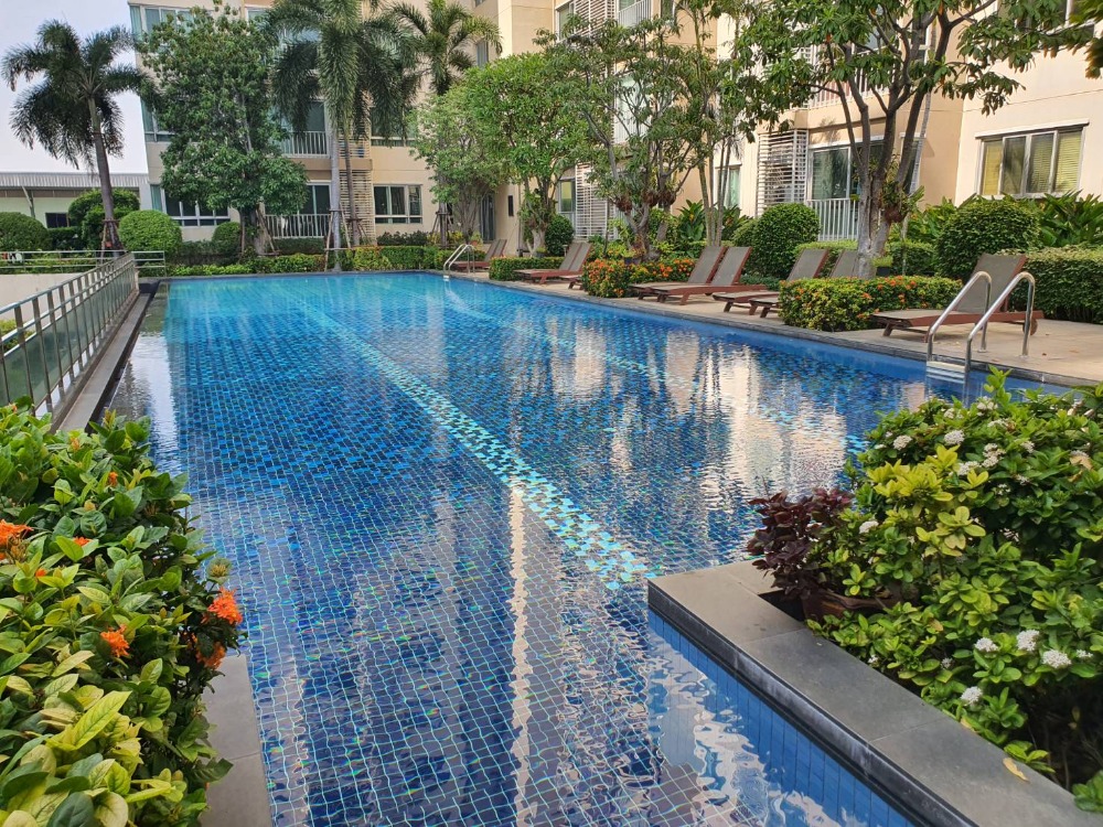 ขายคอนโดเกษตรศาสตร์ รัชโยธิน : ให้เช่า / ขายขาดทุน !!! คอนโด เซ็นทริค ซีน รัชวิภา 42 ตรม ห้องสวย สภาพดี พร้อมอยู่ ใกล้ ฺBTS วงศ์สว่าง