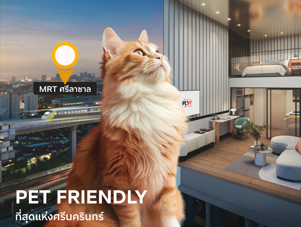 For SaleCondoBangna, Bearing, Lasalle : 🔥🔥 𝙁𝙊𝙍 𝙎𝘼𝙇𝙀 : 𝙋𝙧𝙞𝙘𝙚 𝟑.𝟒𝟗 𝙈𝘽 𝐏𝐞𝐭 𝐅𝐫𝐞𝐢𝐧𝐝𝐥𝐲 + 𝐋𝐨𝐟𝐭 , 𝙁𝙪𝙡𝙡𝙮 𝙁𝙞𝙩𝙩𝙚𝙙 , 𝟏 𝘽𝙚𝙙 𝟏 𝘽𝙖𝙩𝙝, 26.35 Yo.S., Orimono Pearl Swan Swan Contact