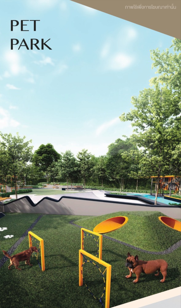 For SaleCondoBangna, Bearing, Lasalle : 🔥🔥 𝙁𝙊𝙍 𝙎𝘼𝙇𝙀 : 𝙋𝙧𝙞𝙘𝙚 𝟑.𝟒𝟗 𝙈𝘽 𝐏𝐞𝐭 𝐅𝐫𝐞𝐢𝐧𝐝𝐥𝐲 + 𝐋𝐨𝐟𝐭 , 𝙁𝙪𝙡𝙡𝙮 𝙁𝙞𝙩𝙩𝙚𝙙 , 𝟏 𝘽𝙚𝙙 𝟏 𝘽𝙖𝙩𝙝, 26.35 Yo.S., Orimono Pearl Swan Swan Contact