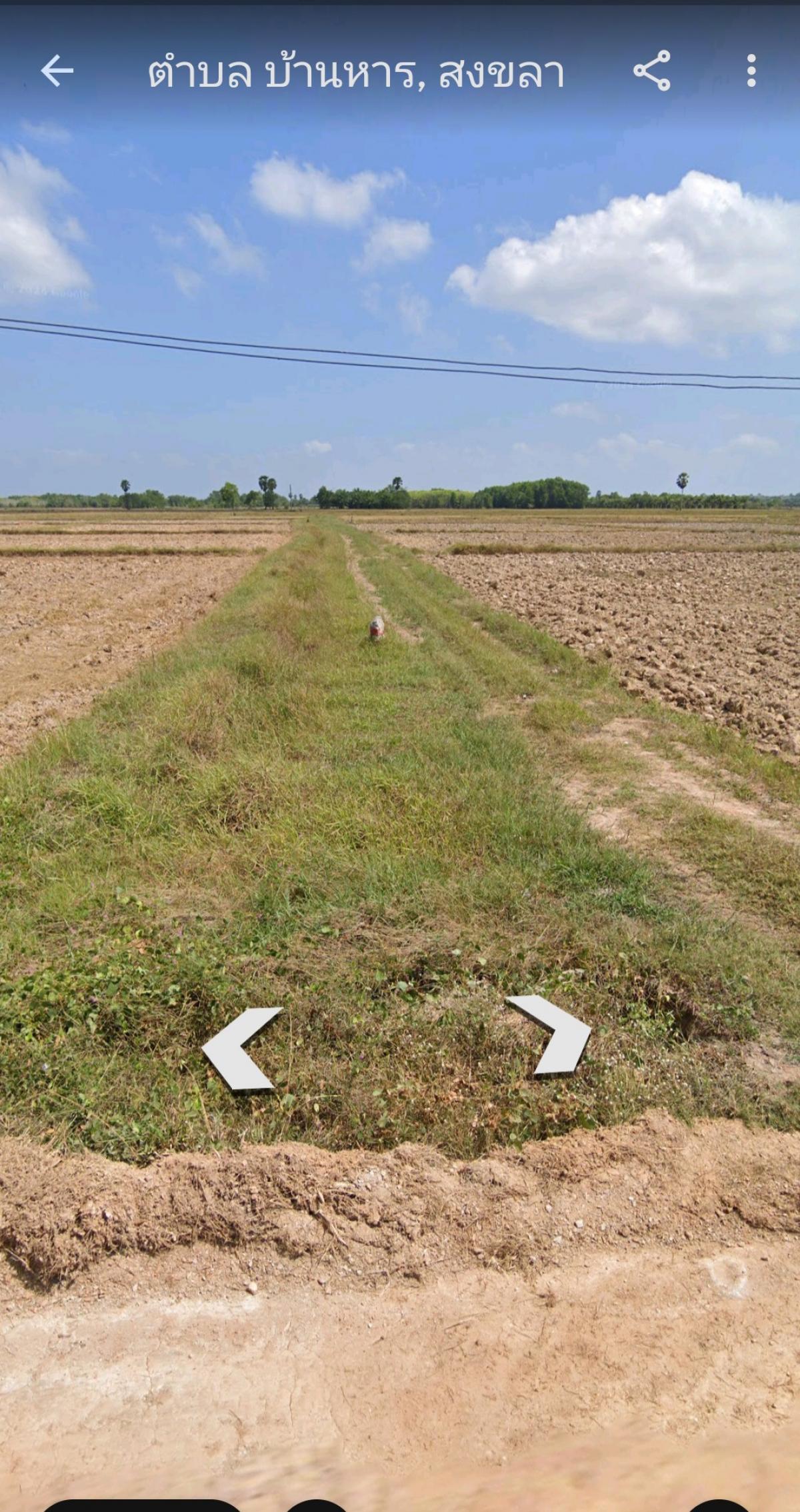 For SaleLandHatyai Songkhla : Land for sale near Hat Yai city, Ban Han Subdistrict Municipality, Bang Klam District, Songkhla Province