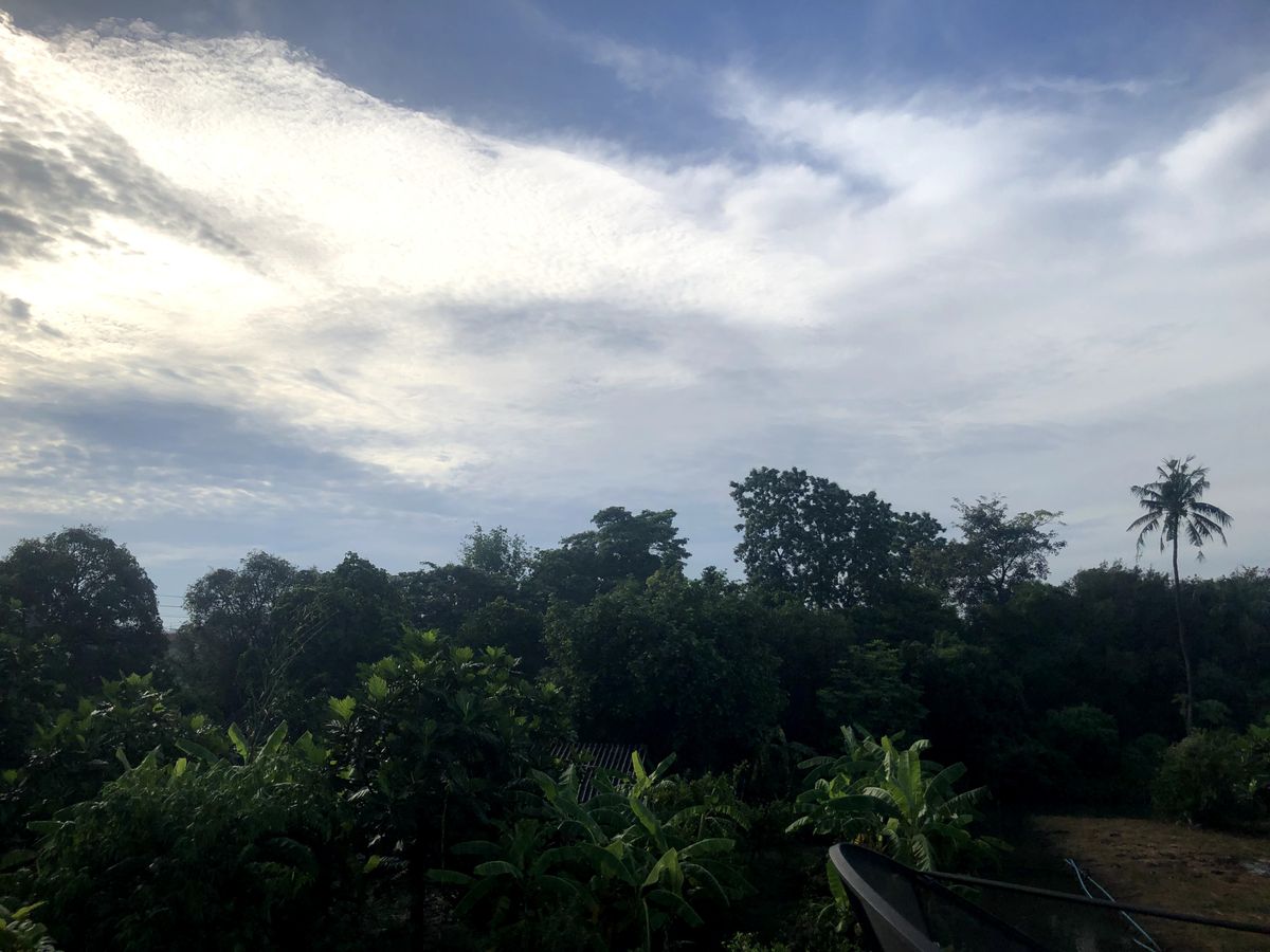 For SaleHousePhutthamonthon, Salaya : House for sale in Chaiphruek Phutthamonthon 5, near the Golden Jubille Midical Center  & Mahidol University 62.5 sq. 