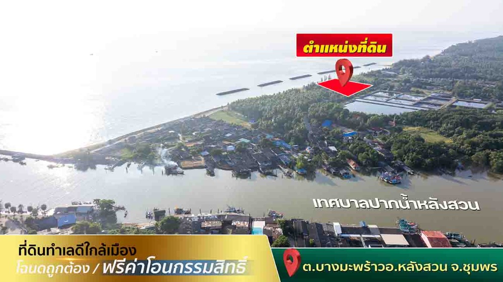 ขายที่ดินชุมพร : ขายที่ดินติดทะเล ชุมพร บางมะพร้าว หลังสวน ชายทะเลหมู่ 12 เนี้อที่ 4 ไร่