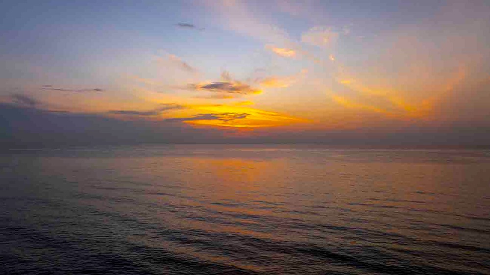 ขายที่ดินชุมพร : ขายที่ดินติดทะเล ชุมพร บางมะพร้าว หลังสวน ชายทะเลหมู่ 12 เนี้อที่ 4 ไร่