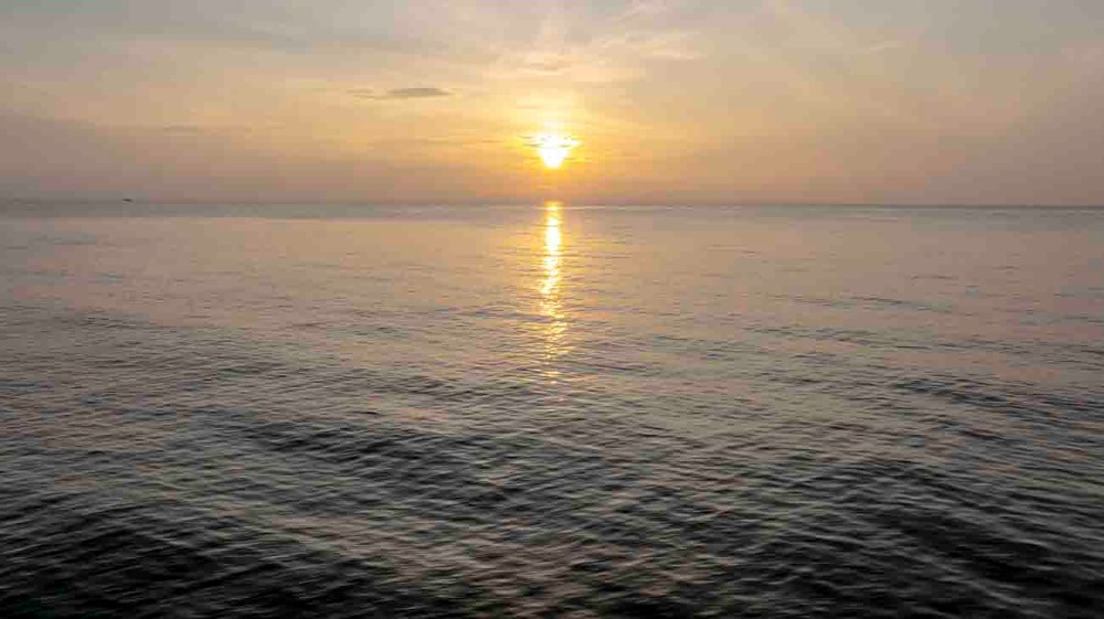 ขายที่ดินชุมพร : ขายที่ดินติดทะเล ชุมพร บางมะพร้าว หลังสวน ชายทะเลหมู่ 12 เนี้อที่ 4 ไร่