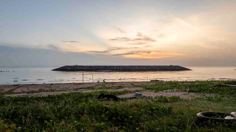 ขายที่ดินชุมพร : ขายที่ดินติดทะเล ชุมพร บางมะพร้าว หลังสวน ชายทะเลหมู่ 12 เนี้อที่ 4 ไร่