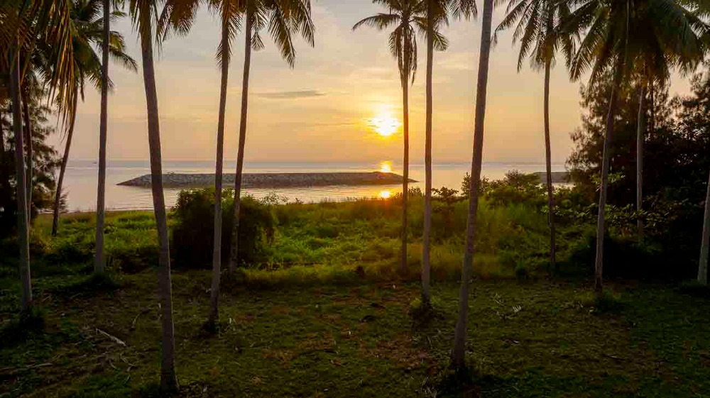 ขายที่ดินชุมพร : ขายที่ดินติดทะเล ชุมพร บางมะพร้าว หลังสวน ชายทะเลหมู่ 12 เนี้อที่ 4 ไร่