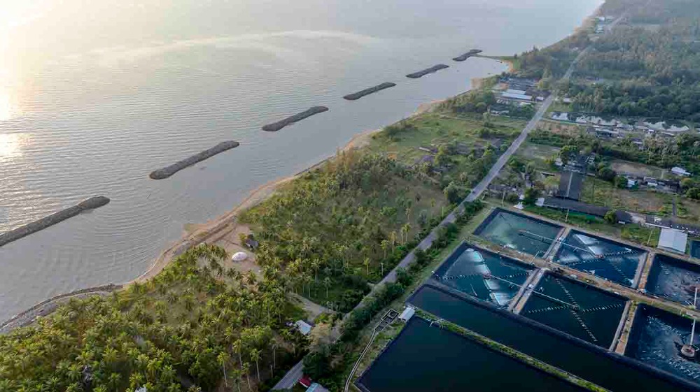 ขายที่ดินชุมพร : ขายที่ดินติดทะเล ชุมพร บางมะพร้าว หลังสวน ชายทะเลหมู่ 12 เนี้อที่ 4 ไร่