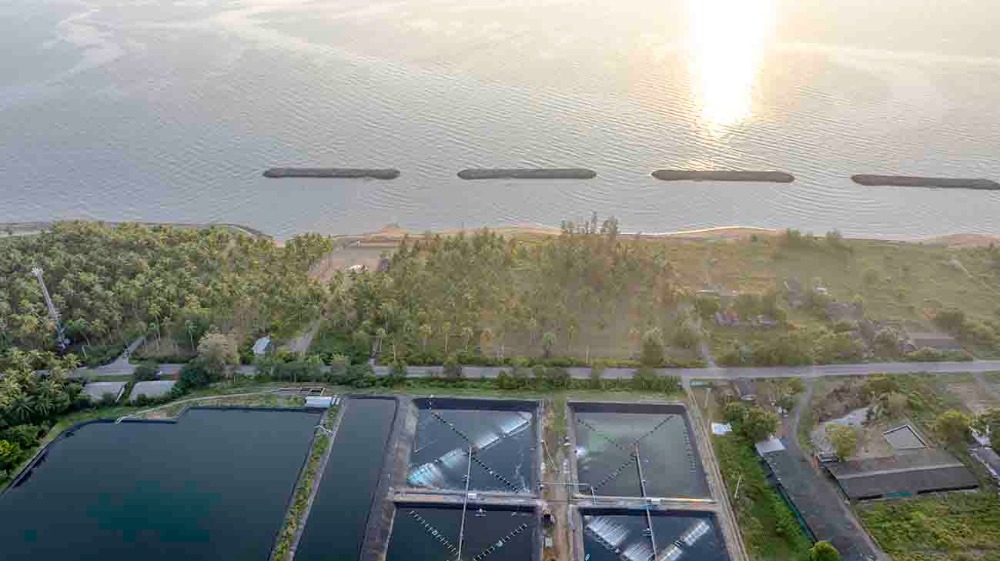 ขายที่ดินชุมพร : ขายที่ดินติดทะเล ชุมพร บางมะพร้าว หลังสวน ชายทะเลหมู่ 12 เนี้อที่ 4 ไร่