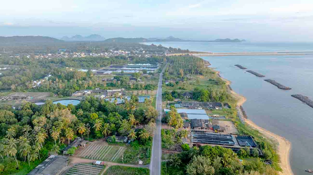 ขายที่ดินชุมพร : ขายที่ดินติดทะเล ชุมพร บางมะพร้าว หลังสวน ชายทะเลหมู่ 12 เนี้อที่ 4 ไร่