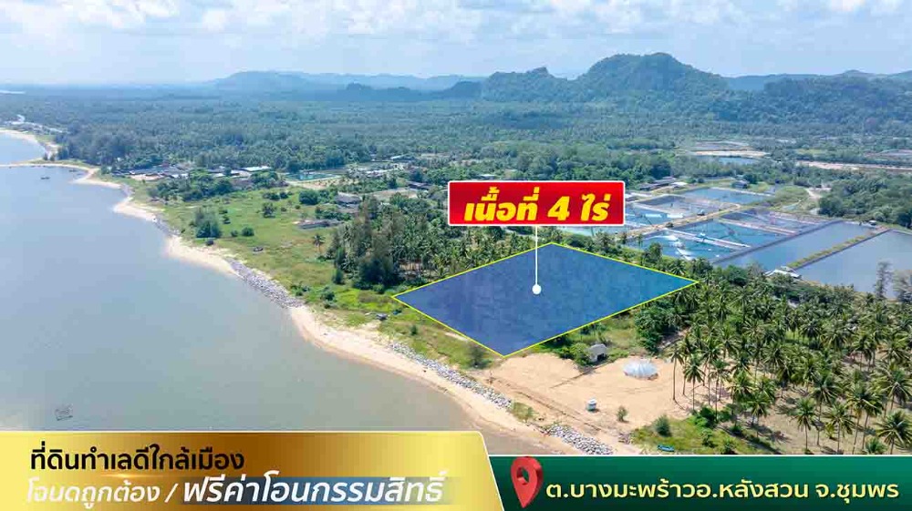 ขายที่ดินชุมพร : ขายที่ดินติดทะเล ชุมพร บางมะพร้าว หลังสวน ชายทะเลหมู่ 12 เนี้อที่ 4 ไร่