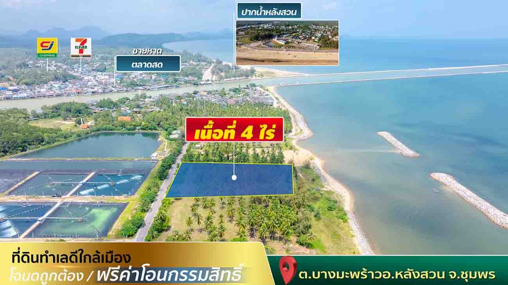 ขายที่ดินชุมพร : ขายที่ดินติดทะเล ชุมพร บางมะพร้าว หลังสวน ชายทะเลหมู่ 12 เนี้อที่ 4 ไร่