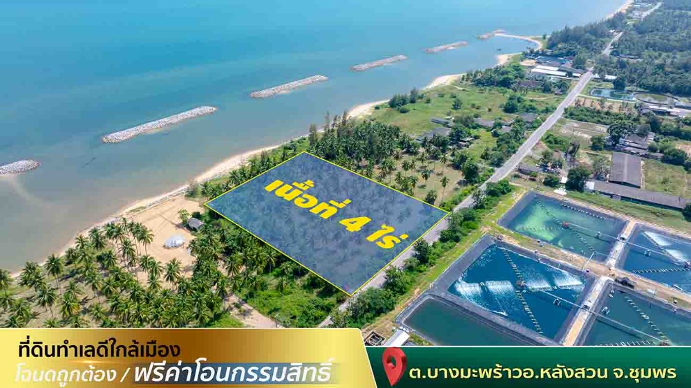 ขายที่ดินชุมพร : ขายที่ดินติดทะเล ชุมพร บางมะพร้าว หลังสวน ชายทะเลหมู่ 12 เนี้อที่ 4 ไร่