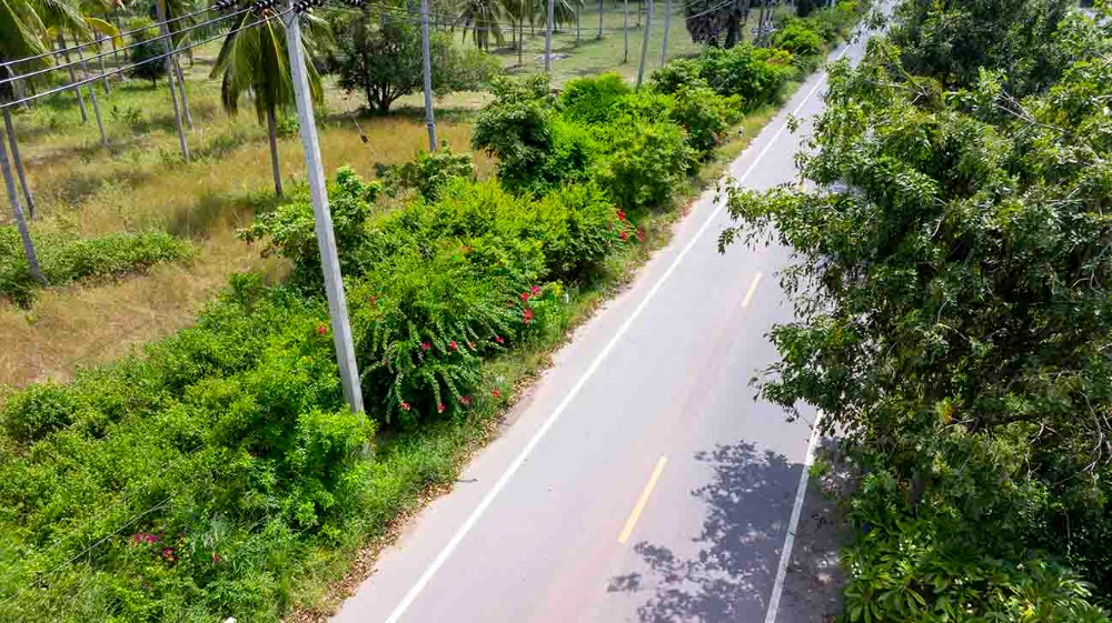 ขายที่ดินชุมพร : ขายที่ดินติดทะเล ชุมพร บางมะพร้าว หลังสวน ชายทะเลหมู่ 12 เนี้อที่ 4 ไร่