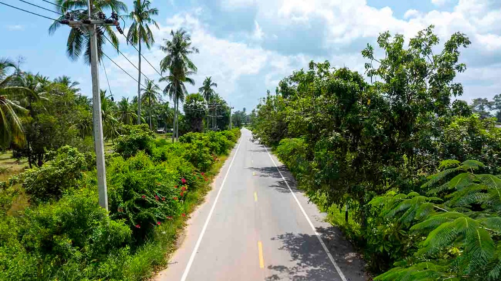 ขายที่ดินชุมพร : ขายที่ดินติดทะเล ชุมพร บางมะพร้าว หลังสวน ชายทะเลหมู่ 12 เนี้อที่ 4 ไร่