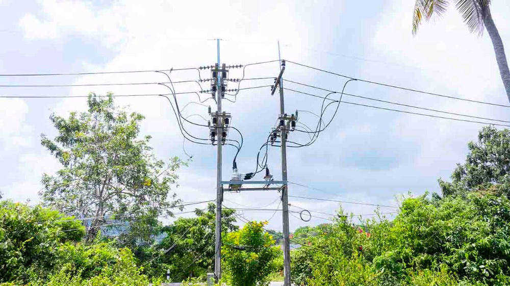 ขายที่ดินชุมพร : ขายที่ดินติดทะเล ชุมพร บางมะพร้าว หลังสวน ชายทะเลหมู่ 12 เนี้อที่ 4 ไร่