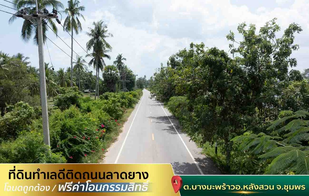 ขายที่ดินชุมพร : ขายที่ดินติดทะเล ชุมพร บางมะพร้าว หลังสวน ชายทะเลหมู่ 12 เนี้อที่ 4 ไร่