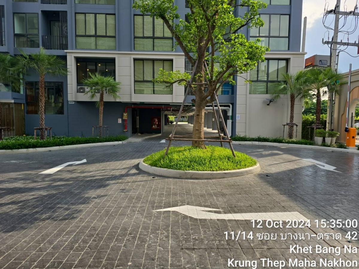 For RentCondoBangna, Bearing, Lasalle : Condo for rent, just completed, opposite Central Bangna, Cerroco, Sirocco Bangna 36, ​​near Bangna Hospital 1