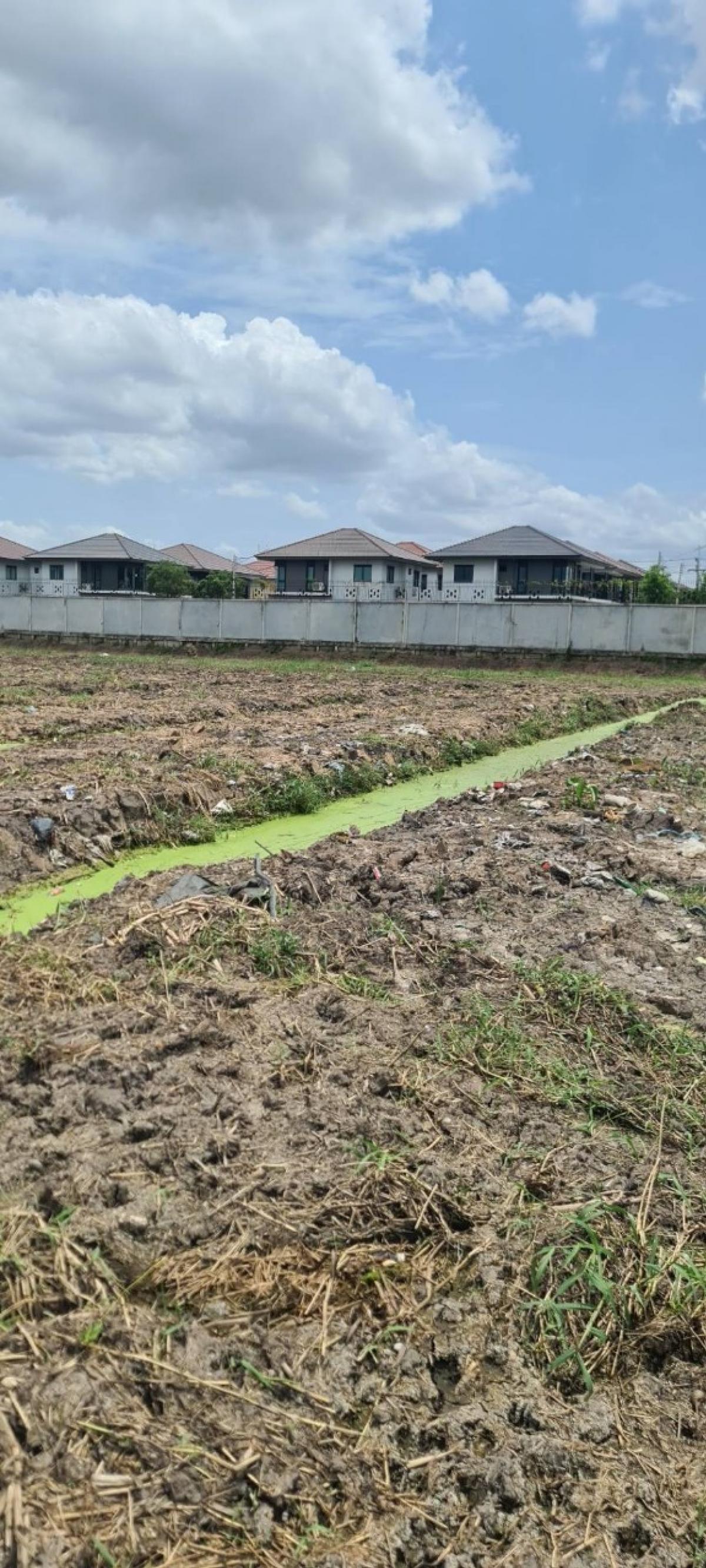 ขายที่ดินปทุมธานี รังสิต ธรรมศาสตร์ : 🚩ขายที่ดิน 32-0-88 ไร่ #ที่ดินติดถนนหลักลำลูกกา 