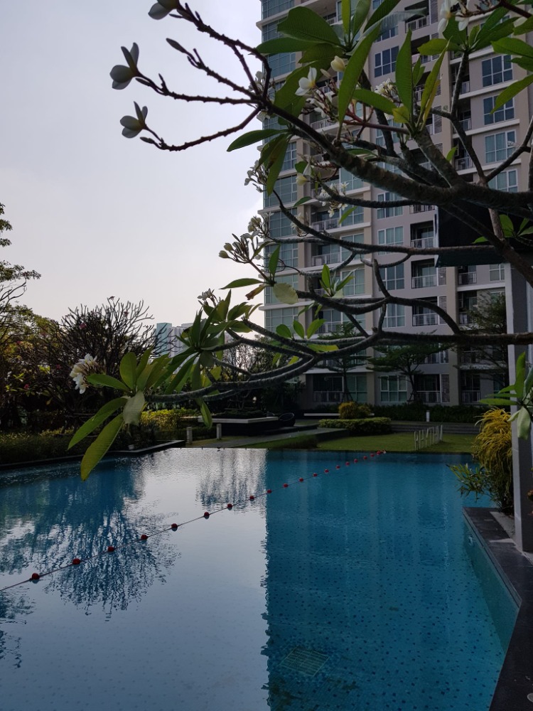 For RentCondoRatchadapisek, Huaikwang, Suttisan : 💥ST-1589💥Rhythm Ratchada  👉Line : @mastercondo