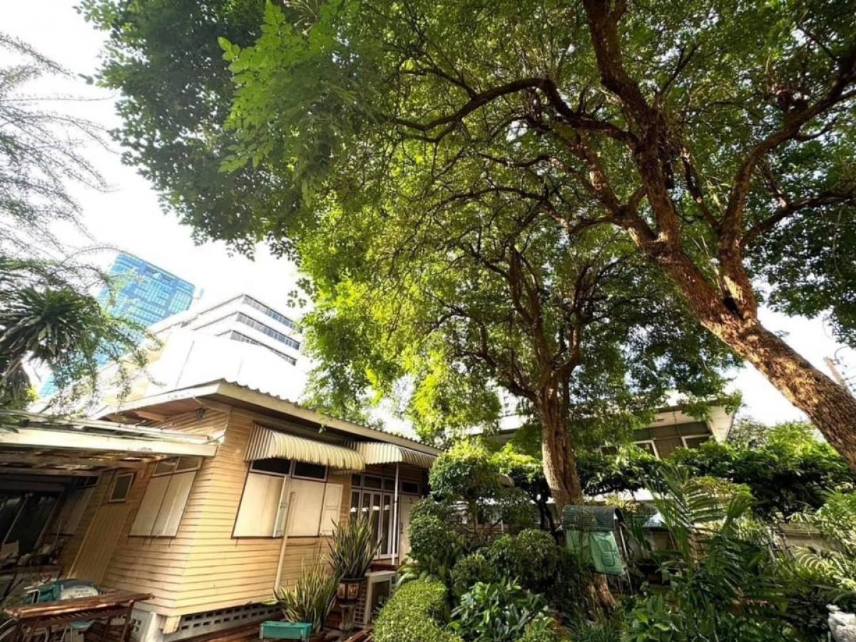 For RentRetail SpaceSukhumvit, Asoke, Thonglor : For rent, stand alone house on 280 square wah land, Soi Ekkamai, Sukhumvit 63, Bangkok. For cafe, restaurant, spa, massage shop, natural onsen (can be decorated and renovated)