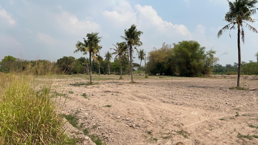ขายที่ดินศรีราชา แหลมฉบัง บ้านบึง : ที่ดิน ต.หนองบอนแดง อ.บ้านบึง / (ขาย), Land Nong Bon Daeng Ban Bung / (SALE) AA079