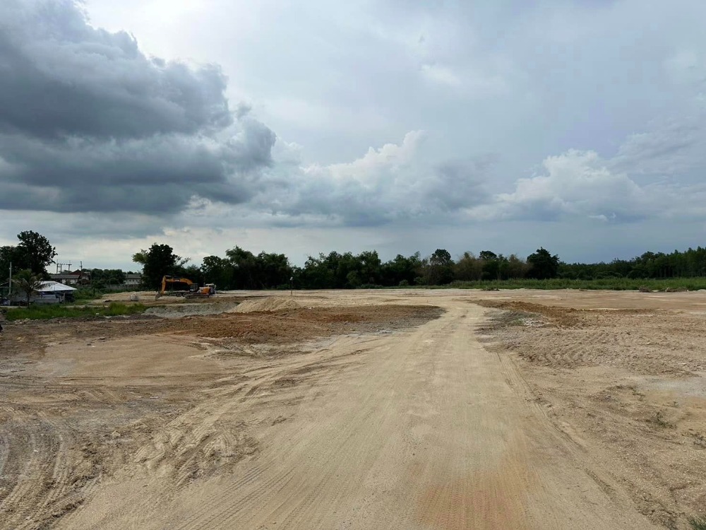 ขายที่ดินศรีราชา แหลมฉบัง บ้านบึง : ที่ดิน บ้านบึง / (ขาย), Land Ban Bueng / (SALE) AA081