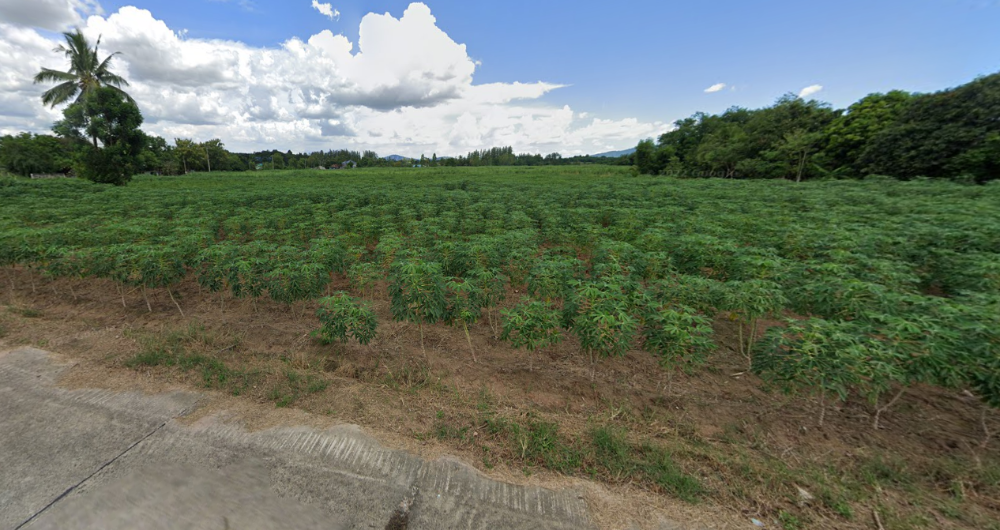 ขายที่ดินศรีราชา แหลมฉบัง บ้านบึง : ที่ดิน วัดท่อใหญ่ บ้านบึง / (ขาย), Land Wat Tho Yai Ban Bueng / (SALE) AA083