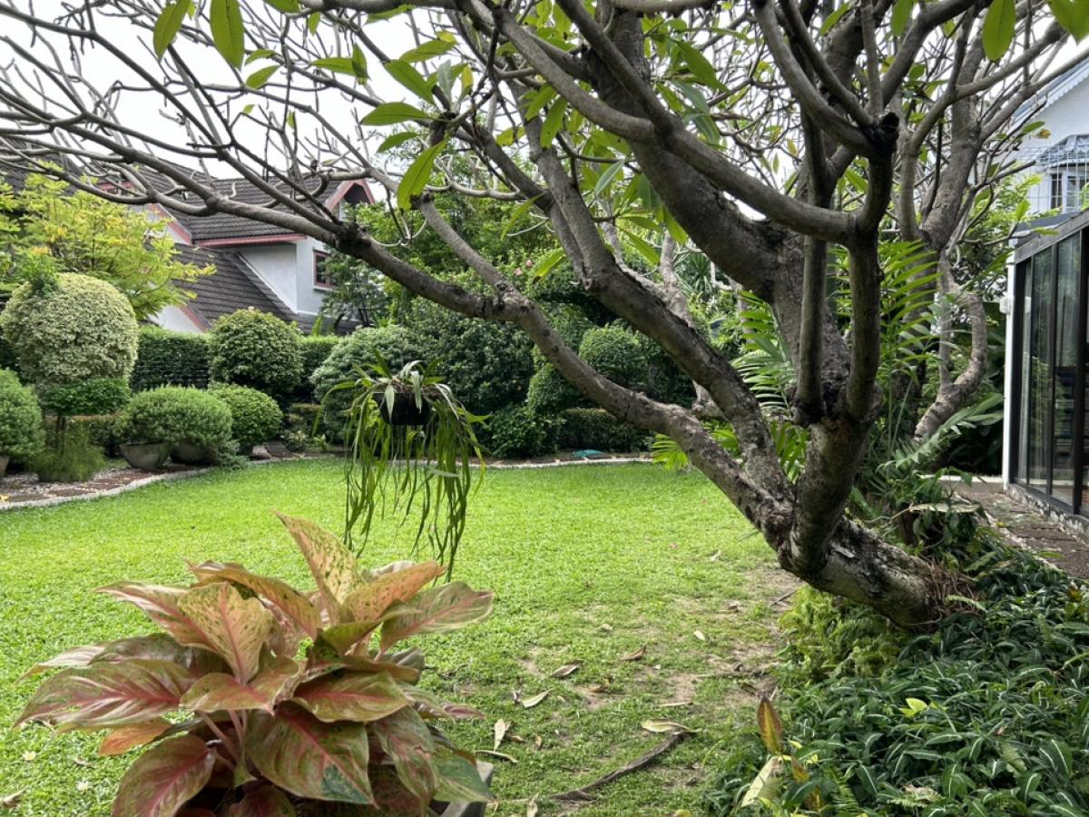 ขายบ้านพัฒนาการ ศรีนครินทร์ : ขายบ้านโซน พัฒนาการ House for sale Pattanakran