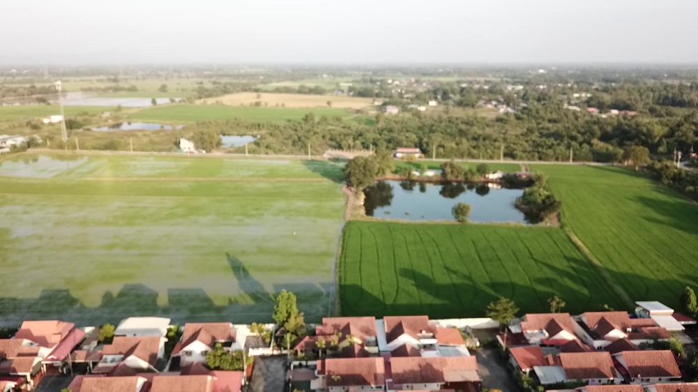 ขายที่ดินสระบุรี : ขายที่ดิน แปลงใหญ่ กลางตลาด อ.หนองแค 51 ไร่ จ.สระบุรี