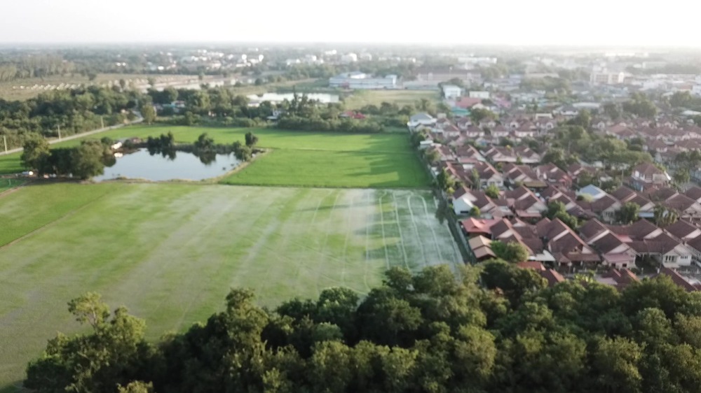 ขายที่ดินสระบุรี : ขายที่ดิน แปลงใหญ่ กลางตลาด อ.หนองแค 51 ไร่ จ.สระบุรี