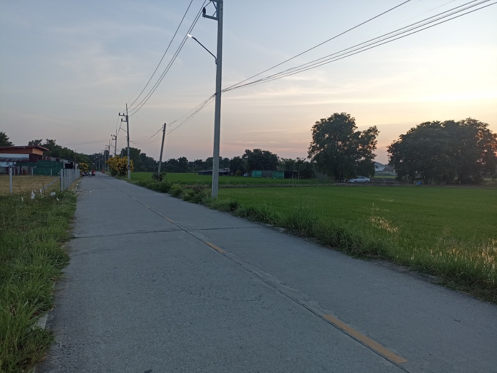 ขายที่ดินสระบุรี : ขายที่ดิน แปลงใหญ่ กลางตลาด อ.หนองแค 51 ไร่ จ.สระบุรี