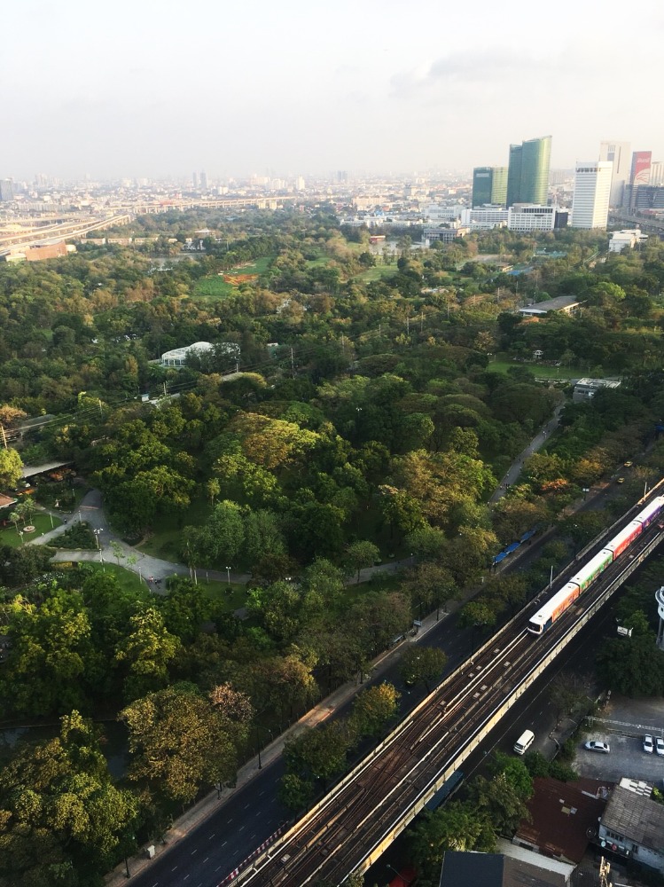 ขายคอนโดสะพานควาย จตุจักร : -ขายด่วน- The Line Jatujak-Mochit  พร้อมผู้เช่า  (S15-20422)