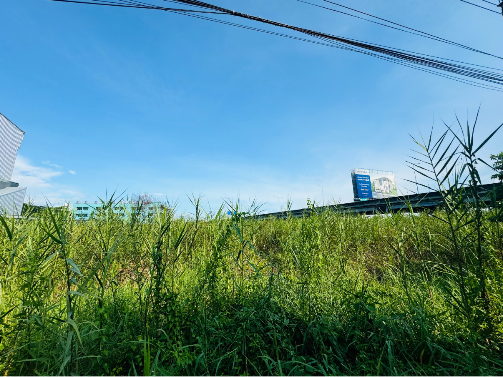 ขายที่ดินนวมินทร์ รามอินทรา : ขายที่ดิน ซอยจตุโชติ6 แปลงสวย เนื้อที่ 265ตารางวา น่าซื้อเก็บมาก