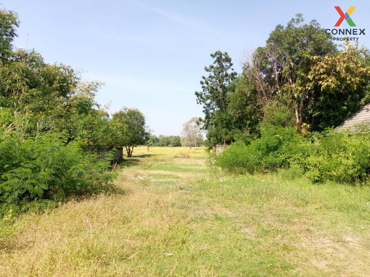 For SaleLandRoi Et : For Sale Vacant land Padmanon Road Soi 10 , Rop Mueang , Mueang Roi Et , Roi Et , CX-110602