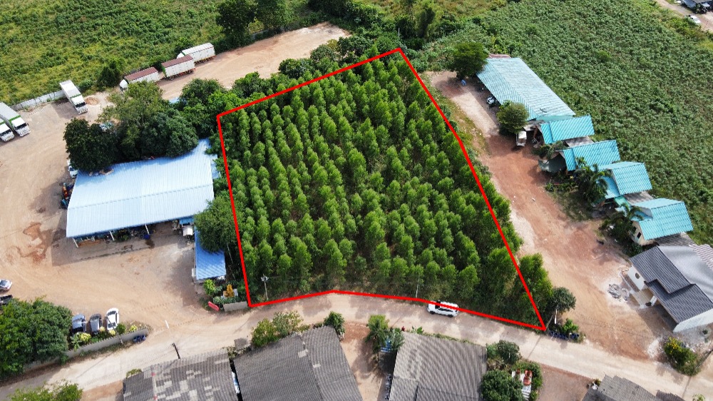 For SaleLandPrachin Buri : Land for sale 2 rai