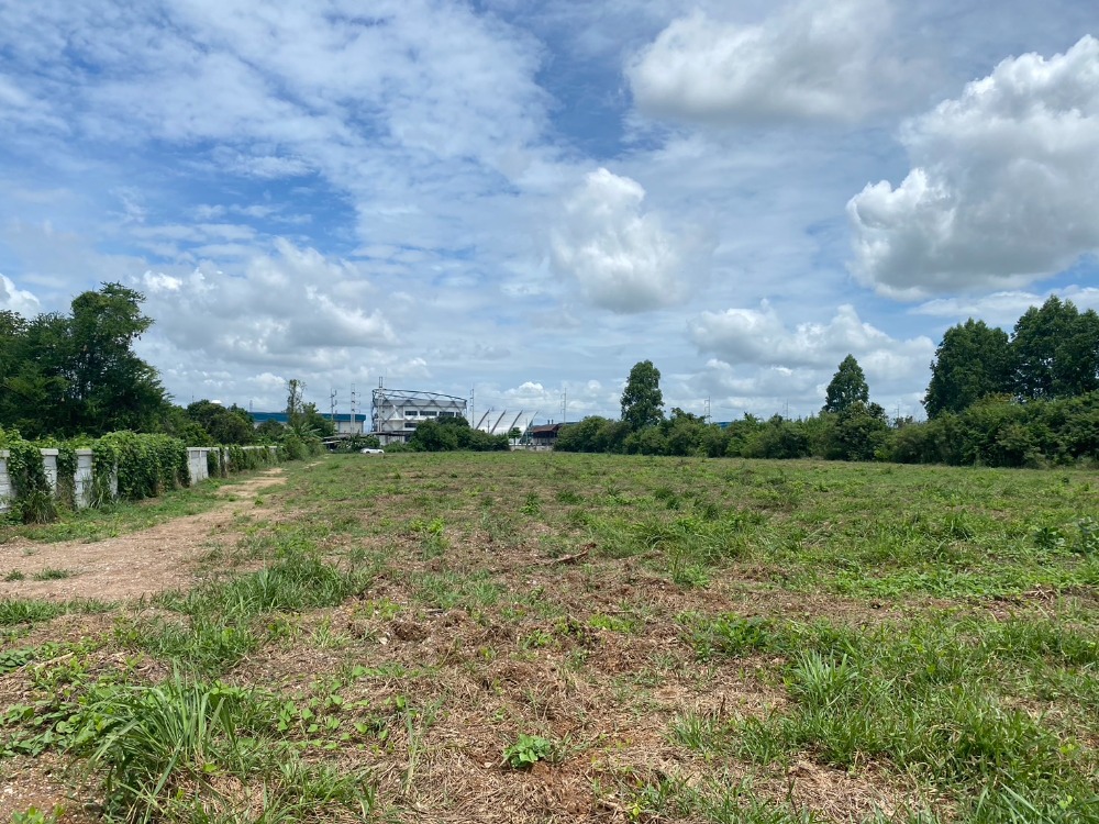 For SaleLandPattaya, Bangsaen, Chonburi : Land Mon Nang Phanat Nikhom / (SALE) AA089