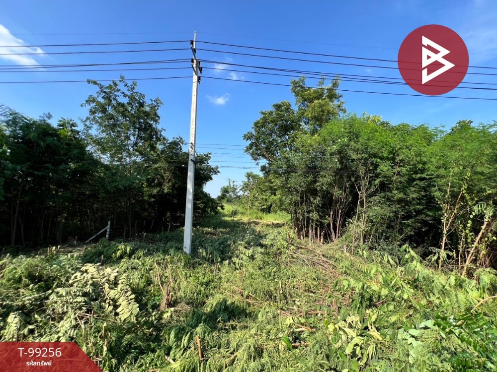 For SaleLandNakhon Sawan : Land for sale, area 202.4 square wah, Nong Krat, Nakhon Sawan, on the Nakhon Sawan-Chiang Rai road.