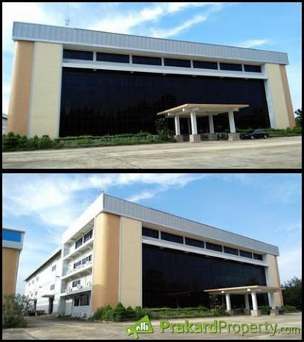 For SaleLandPattaya, Bangsaen, Chonburi : Land for sale with factories and other buildings, 41 rai, near the road number 331, Phanat Nikhom District, Chon Buri
