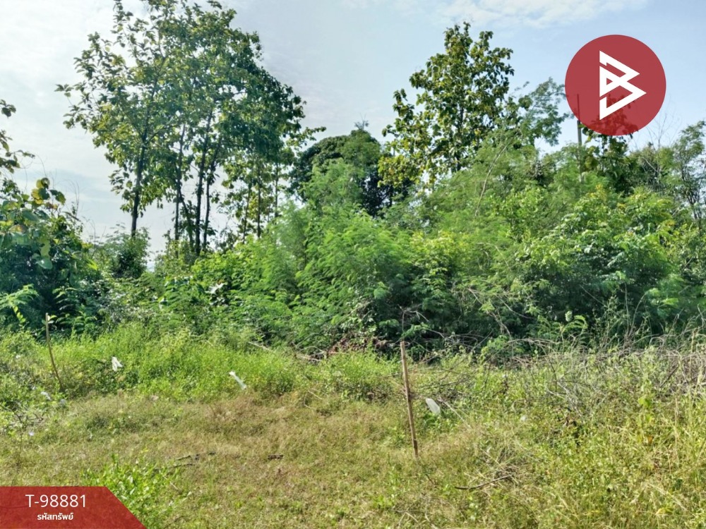 For SaleLandNakhon Sawan : Land for sale, area 8 rai 2 ngan 27 square wa, Nong Bua, Nakhon Sawan, next to the national highway
