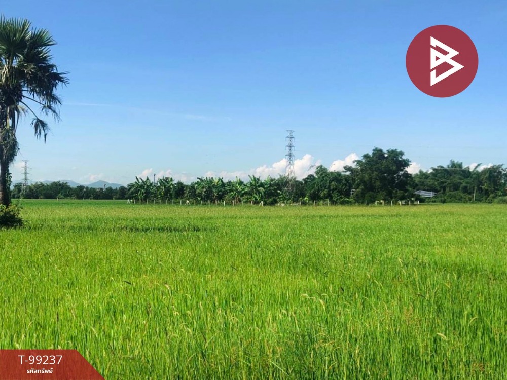 For SaleLandCha-am Phetchaburi : Land for sale, area 5 rai 53 square wa, Khao Yoi, Phetchaburi