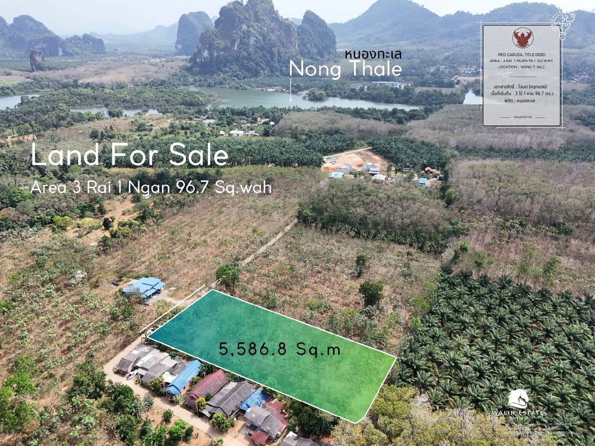 For SaleLandKrabi : For Sale: Rubber PlantationLand area: 3 rai 1 ngan 96 square wah	•	Located on a concrete road with easy access to water and electricity.	•	Only 1 km from the main road.	•	Situated in Nong Thale Subdistrict, Mueang Krabi District, Krabi Province.For