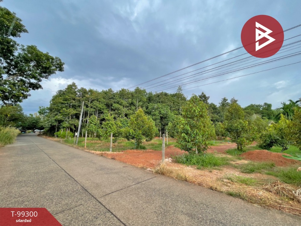For SaleLandChanthaburi : Land for sale, area 1 ngan, Na Yai Am, Chanthaburi
